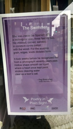 poetry-plain-sight-bresnahan