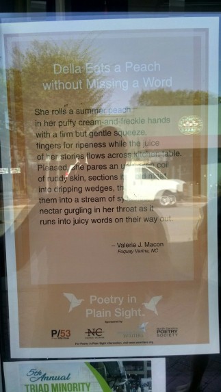 poetry-plain-sight-macon